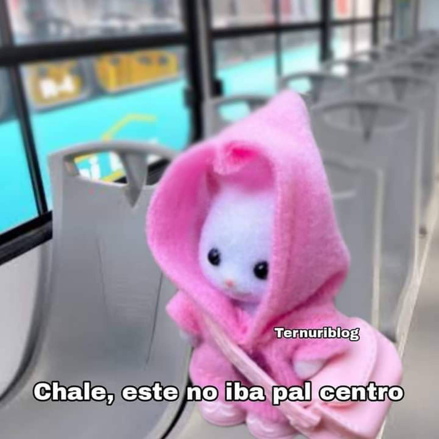 Ternurines y transporte público. (Captura: Redes socuiales)