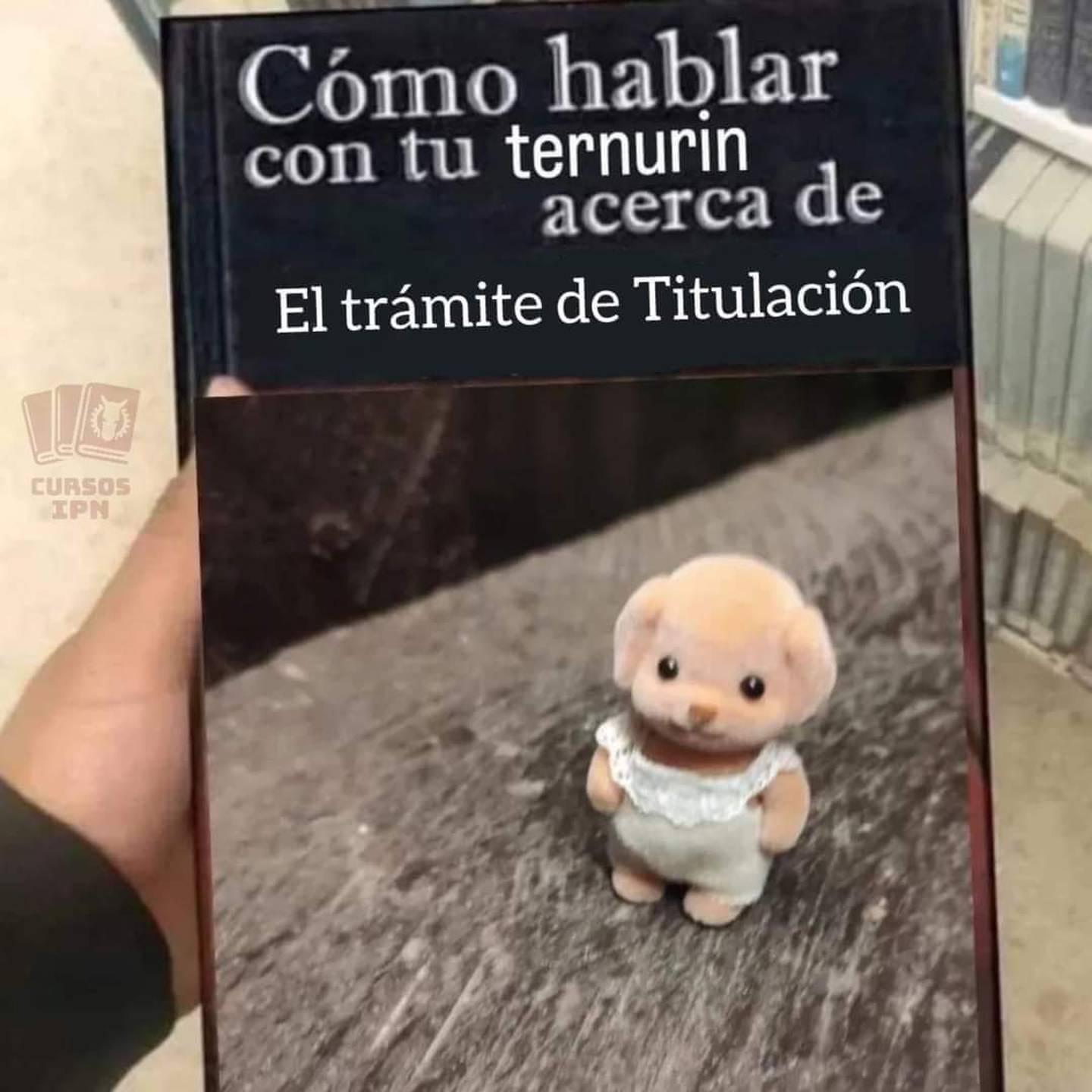 Memes de ternurines y libros. (Captura: Redes sociales)