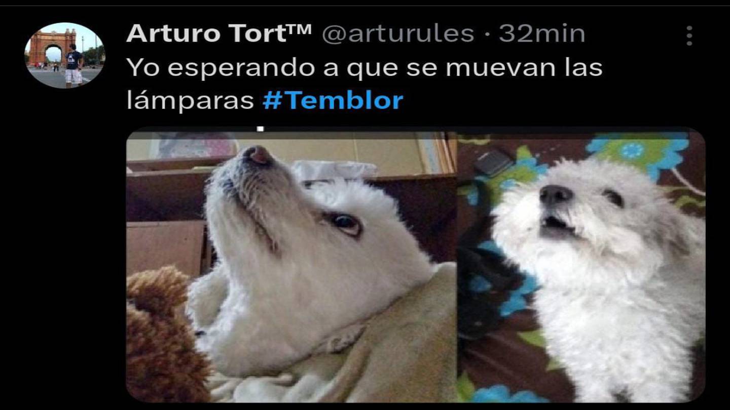 Los memes de la alerta sísmica. (Foto: Redes sociales)