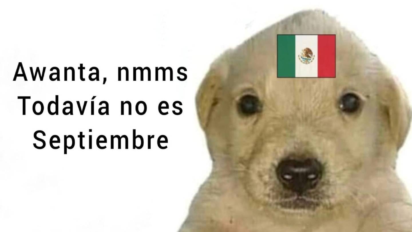 A todos sorprendió la alerta sísmica en agosto. (Foto: Redes sociales)