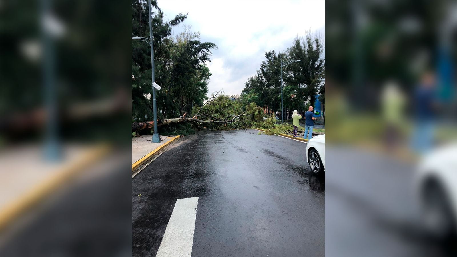 Esta noche se activó la alerta amarilla para 15 alcaldías. Sólo Cuajimalpa tiene alerta naranja