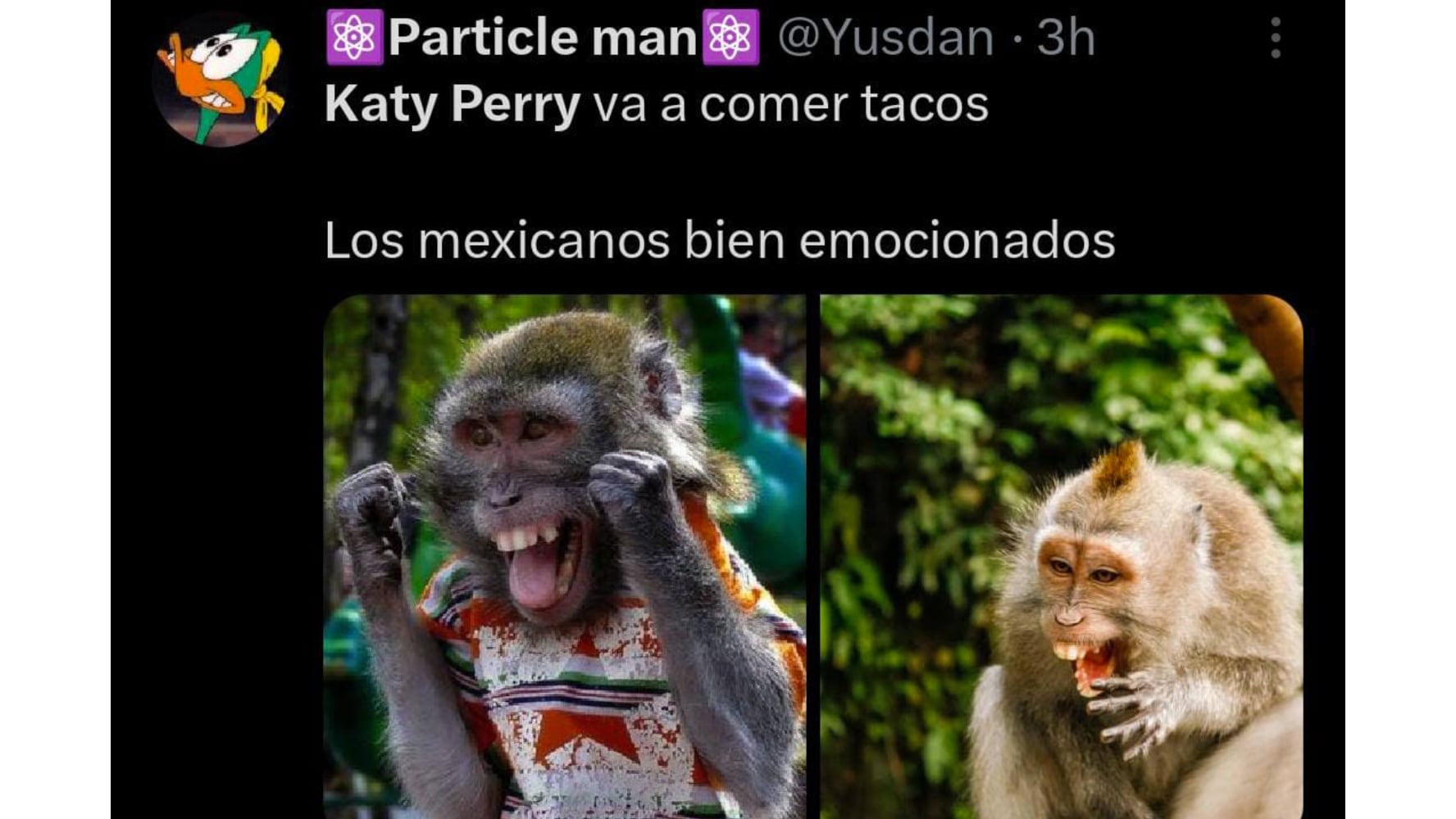 Memes de Katy Perry. (Foto: Captura Redes sociales)