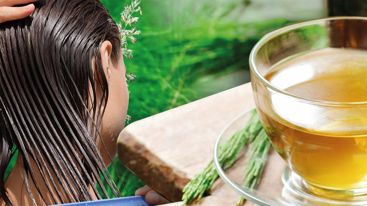 El extracto de cola de caballo se utiliza como remedio casero para presuntamente mejorar la salud del cabello. (Foto: Especial El Financiero)