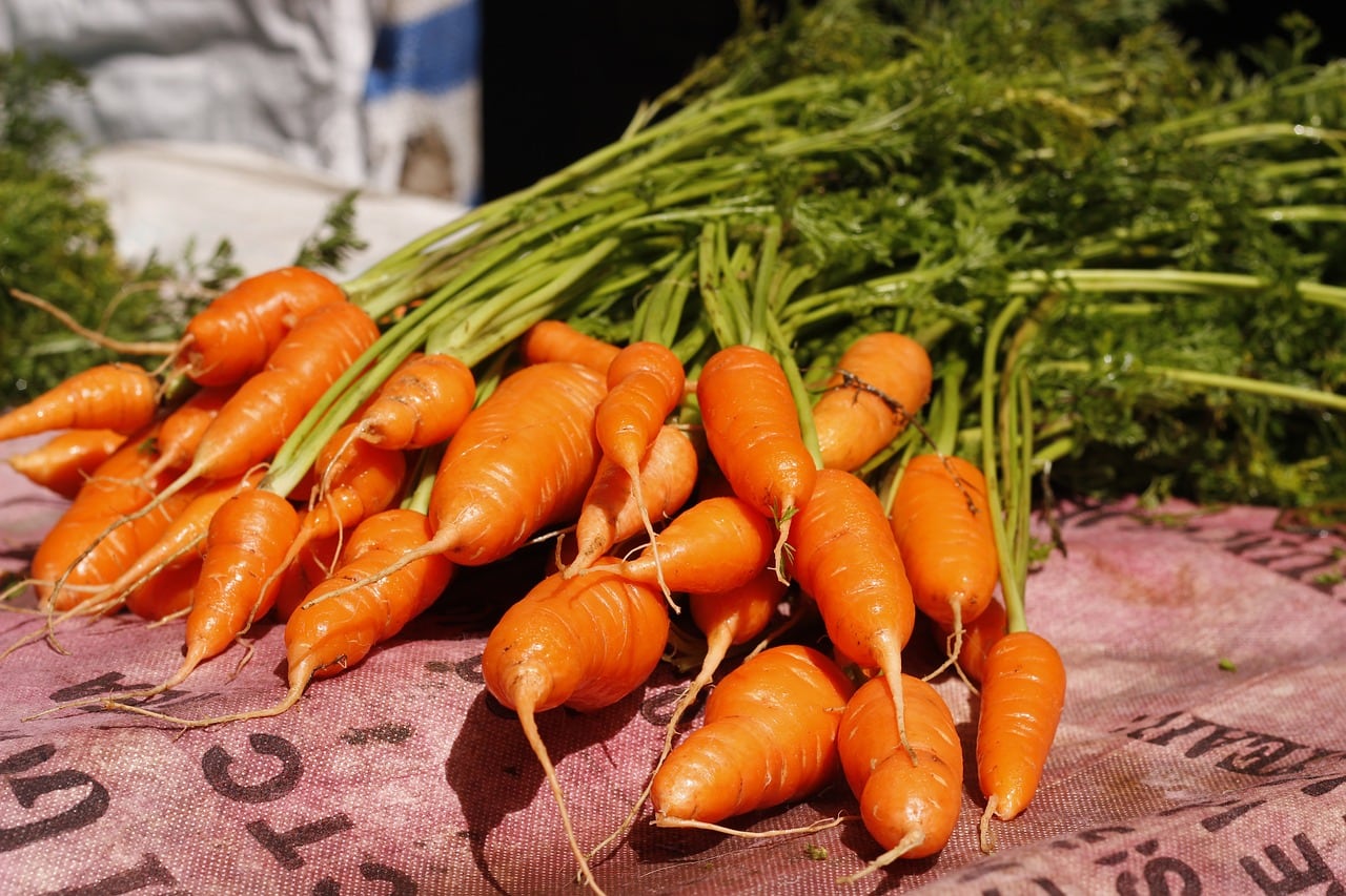 La zanahoria tiene betacarotenos, sustancia relacionada con la salud visual. (Foto: Pixabay)