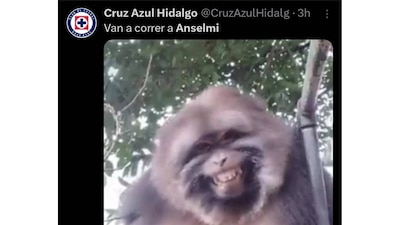 Memes de la derrota del Porto en el Mundial de Clubes 2025. (Foto: Captura X)